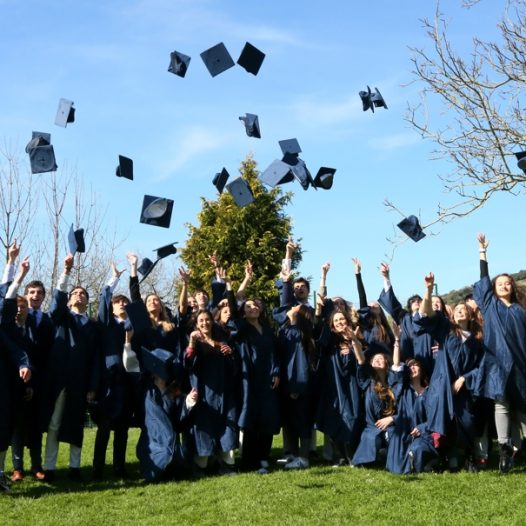 IB Diploma Programme Results 2022: 100% PASS RATE!